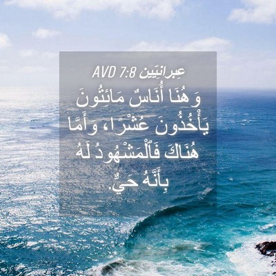 Picture 04 - عِبرانِيّين 7:8 AVD - وَهُنَا أُنَاسٌ - Bible Verse Picture
