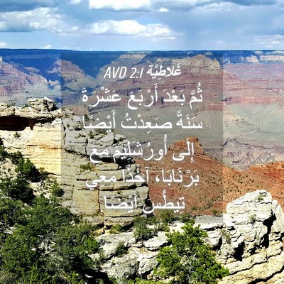 Picture 04 - غَلاطِيَّة 2:1 AVD - ثُمَّ بَعْدَ أَرْبَعَ - Bible Verse Picture