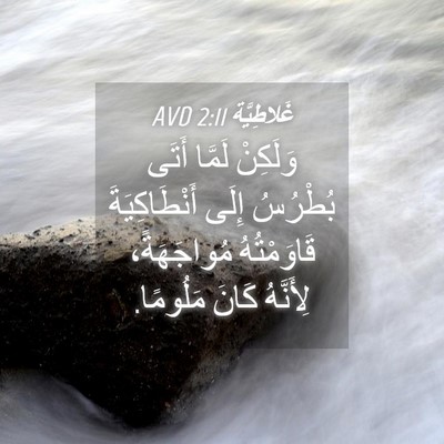 Picture 04 - غَلاطِيَّة 2:11 AVD - وَلَكِنْ لَمَّا أَتَى - Bible Verse Picture