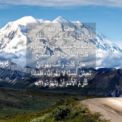 Picture 04 - غَلاطِيَّة 2:14 AVD - لَكِنْ لَمَّا رَأَيْتُ - Bible Verse Picture