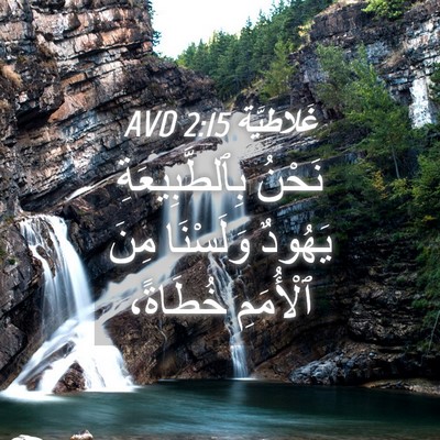 Picture 04 - غَلاطِيَّة 2:15 AVD - نَحْنُ بِٱلطَّبِيعَةِ - Bible Verse Picture