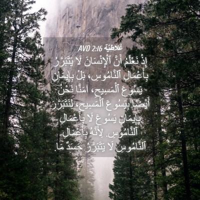 Picture 04 - غَلاطِيَّة 2:16 AVD - إِذْ نَعْلَمُ أَنَّ - Bible Verse Picture