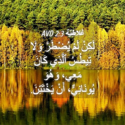 Picture 04 - غَلاطِيَّة 2:3 AVD - لَكِنْ لَمْ يُضْطَرَّ - Bible Verse Picture