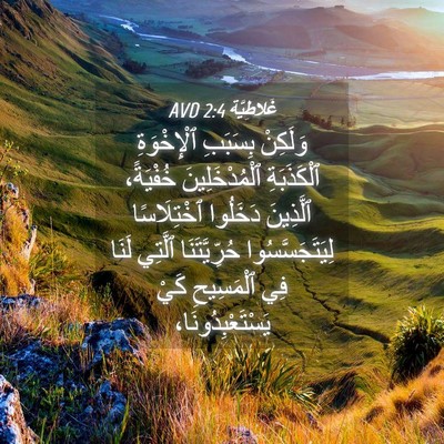 Picture 04 - غَلاطِيَّة 2:4 AVD - وَلَكِنْ بِسَبَبِ - Bible Verse Picture