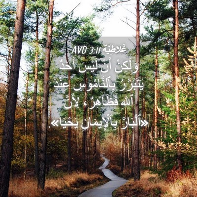 Picture 04 - غَلاطِيَّة 3:11 AVD - وَلَكِنْ أَنْ لَيْسَ - Bible Verse Picture