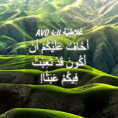 Picture 04 - غَلاطِيَّة 4:11 AVD - أَخَافُ عَلَيْكُمْ أَنْ - Bible Verse Picture