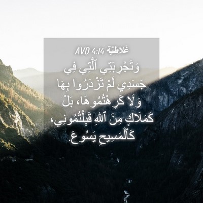 Picture 04 - غَلاطِيَّة 4:14 AVD - وَتَجْرِبَتِي ٱلَّتِي فِي - Bible Verse Picture