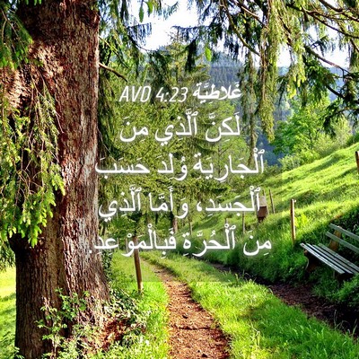Picture 04 - غَلاطِيَّة 4:23 AVD - لَكِنَّ ٱلَّذِي مِنَ - Bible Verse Picture
