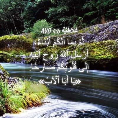 Picture 04 - غَلاطِيَّة 4:6 AVD - ثُمَّ بِمَا أَنَّكُمْ - Bible Verse Picture