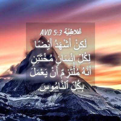 Picture 04 - غَلاطِيَّة 5:3 AVD - لَكِنْ أَشْهَدُ أَيْضًا - Bible Verse Picture