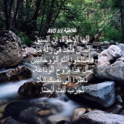 Picture 04 - غَلاطِيَّة 6:1 AVD - أَيُّهَا ٱلْإِخْوَةُ، - Bible Verse Picture