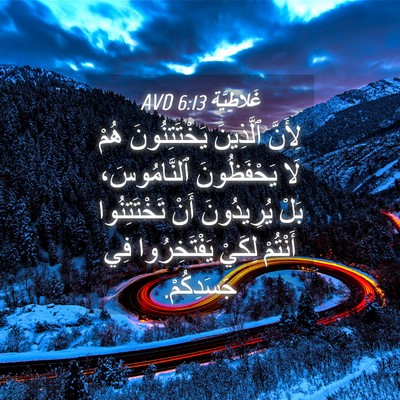 Picture 04 - غَلاطِيَّة 6:13 AVD - لِأَنَّ ٱلَّذِينَ - Bible Verse Picture