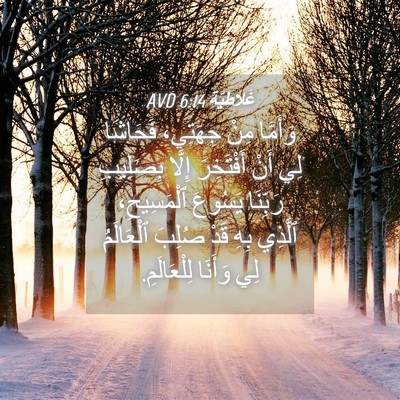 Picture 04 - غَلاطِيَّة 6:14 AVD - وَأَمَّا مِنْ جِهَتِي، - Bible Verse Picture