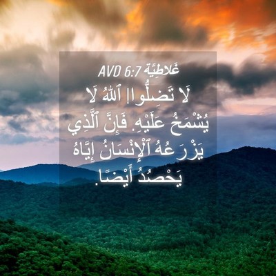 Picture 04 - غَلاطِيَّة 6:7 AVD - لَا تَضِلُّوا! ٱللهُ لَا - Bible Verse Picture