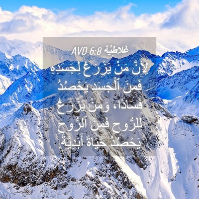 Picture 04 - غَلاطِيَّة 6:8 AVD - لِأَنَّ مَنْ يَزْرَعُ - Bible Verse Picture