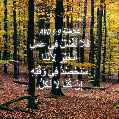 Picture 04 - غَلاطِيَّة 6:9 AVD - فَلَا نَفْشَلْ فِي عَمَلِ - Bible Verse Picture