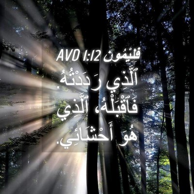 Picture 04 - فِلِيْمُون 1:12 AVD - ٱلَّذِي رَدَدْتُهُ. - Bible Verse Picture