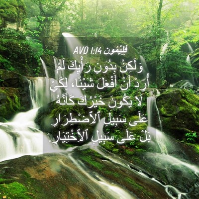 Picture 04 - فِلِيْمُون 1:14 AVD - وَلَكِنْ بِدُونِ رَأْيِكَ - Bible Verse Picture