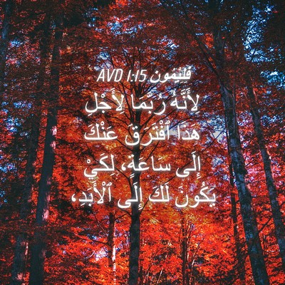 Picture 04 - فِلِيْمُون 1:15 AVD - لِأَنَّهُ رُبَّمَا - Bible Verse Picture