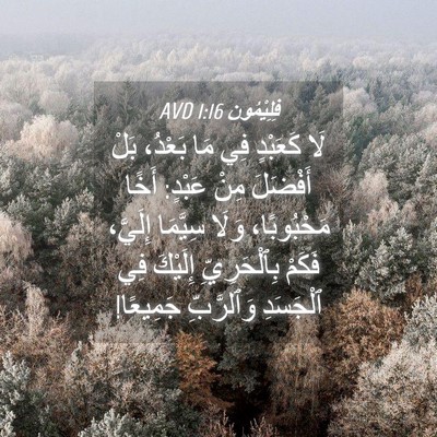 Picture 04 - فِلِيْمُون 1:16 AVD - لَا كَعَبْدٍ فِي مَا - Bible Verse Picture