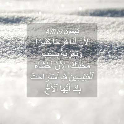 Picture 04 - فِلِيْمُون 1:7 AVD - لِأَنَّ لَنَا فَرَحًا - Bible Verse Picture