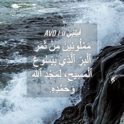 Picture 04 - فِيلِبِّي 1:11 AVD - مَمْلُوئِينَ مِنْ ثَمَرِ - Bible Verse Picture