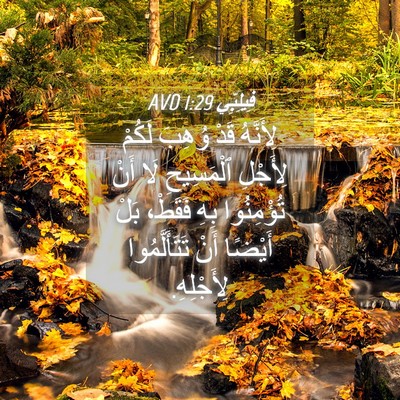 Picture 04 - فِيلِبِّي 1:29 AVD - لِأَنَّهُ قَدْ وُهِبَ - Bible Verse Picture