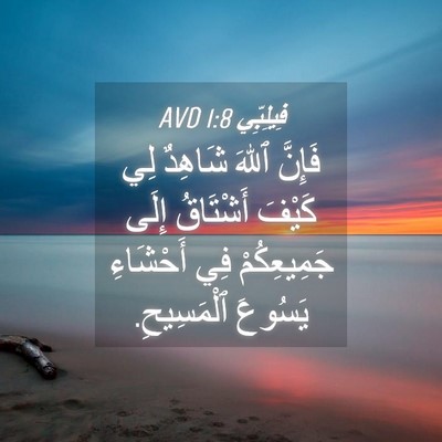 Picture 04 - فِيلِبِّي 1:8 AVD - فَإِنَّ ٱللهَ شَاهِدٌ لِي - Bible Verse Picture