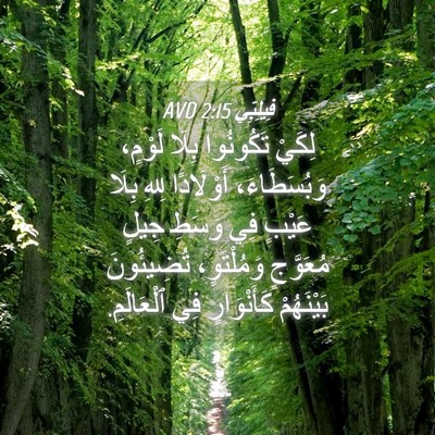 Picture 04 - فِيلِبِّي 2:15 AVD - لِكَيْ تَكُونُوا بِلَا - Bible Verse Picture