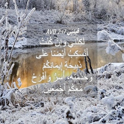 Picture 04 - فِيلِبِّي 2:17 AVD - لَكِنَّنِي وَإِنْ كُنْتُ - Bible Verse Picture