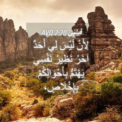 Picture 04 - فِيلِبِّي 2:20 AVD - لِأَنْ لَيْسَ لِي أَحَدٌ - Bible Verse Picture