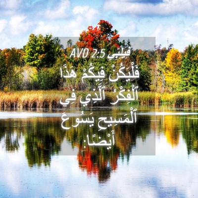 Picture 04 - فِيلِبِّي 2:5 AVD - فَلْيَكُنْ فِيكُمْ هَذَا - Bible Verse Picture