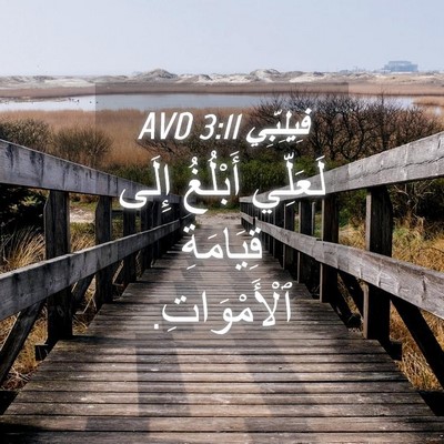 Picture 04 - فِيلِبِّي 3:11 AVD - لَعَلِّي أَبْلُغُ إِلَى - Bible Verse Picture