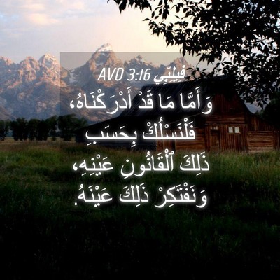 Picture 04 - فِيلِبِّي 3:16 AVD - وَأَمَّا مَا قَدْ - Bible Verse Picture