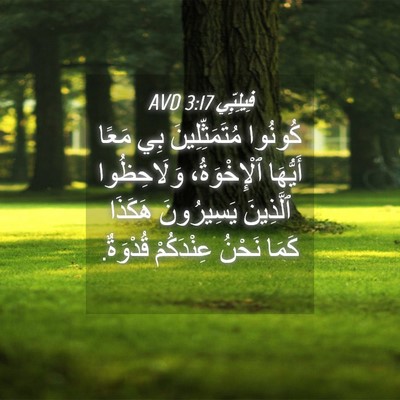 Picture 04 - فِيلِبِّي 3:17 AVD - كُونُوا مُتَمَثِّلِينَ - Bible Verse Picture