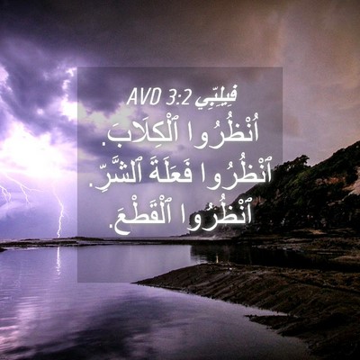 Picture 04 - فِيلِبِّي 3:2 AVD - اُنْظُرُوا ٱلْكِلَابَ. - Bible Verse Picture