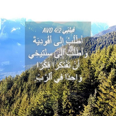 Picture 04 - فِيلِبِّي 4:2 AVD - أَطْلُبُ إِلَى - Bible Verse Picture