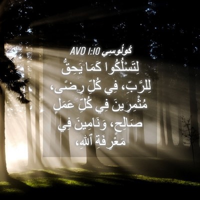 Picture 04 - كُولُوسِي 1:10 AVD - لِتَسْلُكُوا كَمَا - Bible Verse Picture
