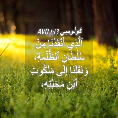 Picture 04 - كُولُوسِي 1:13 AVD - ٱلَّذِي أَنْقَذَنَا مِنْ - Bible Verse Picture