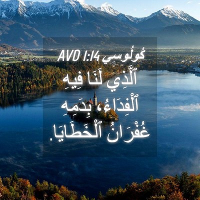 Picture 04 - كُولُوسِي 1:14 AVD - ٱلَّذِي لَنَا فِيهِ - Bible Verse Picture