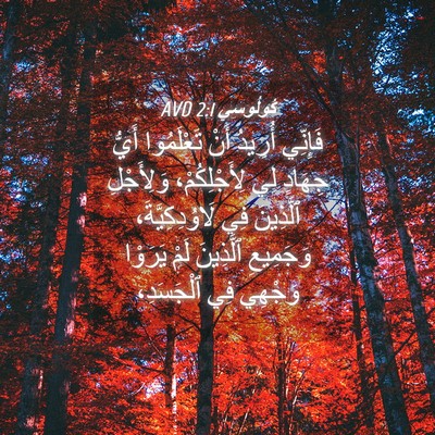 Picture 04 - كُولُوسِي 2:1 AVD - فَإِنِّي أُرِيدُ أَنْ - Bible Verse Picture