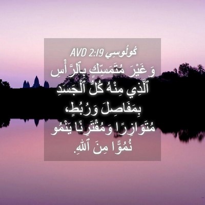 Picture 04 - كُولُوسِي 2:19 AVD - وَغَيْرَ مُتَمَسِّكٍ - Bible Verse Picture