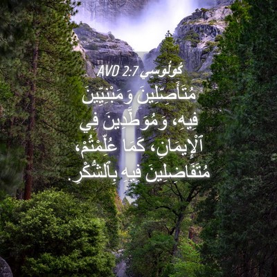 Picture 04 - كُولُوسِي 2:7 AVD - مُتَأَصِّلِينَ - Bible Verse Picture