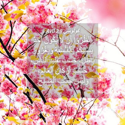 Picture 04 - كُولُوسِي 2:8 AVD - اُنْظُرُوا أَنْ لَا - Bible Verse Picture