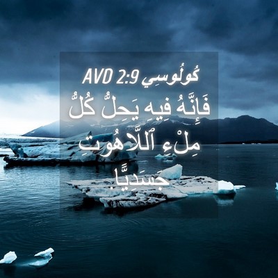 Picture 04 - كُولُوسِي 2:9 AVD - فَإِنَّهُ فِيهِ يَحِلُّ - Bible Verse Picture