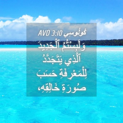 Picture 04 - كُولُوسِي 3:10 AVD - وَلَبِسْتُمُ ٱلْجَدِيدَ - Bible Verse Picture