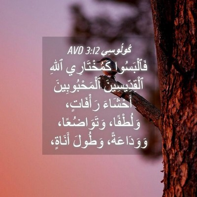 Picture 04 - كُولُوسِي 3:12 AVD - فَٱلْبَسُوا كَمُخْتَارِي - Bible Verse Picture