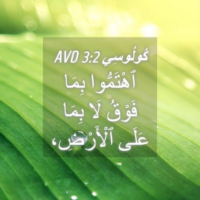 Picture 04 - كُولُوسِي 3:2 AVD - ٱهْتَمُّوا بِمَا فَوْقُ - Bible Verse Picture