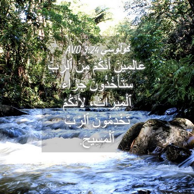 Picture 04 - كُولُوسِي 3:24 AVD - عَالِمِينَ أَنَّكُمْ مِنَ - Bible Verse Picture
