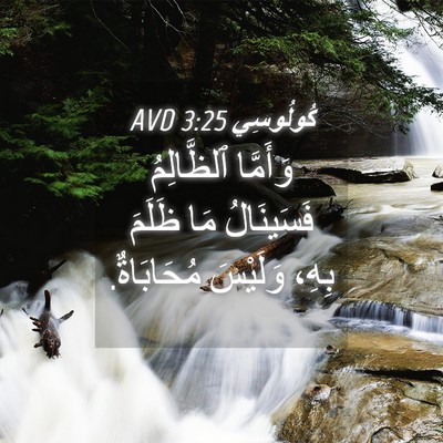 Picture 04 - كُولُوسِي 3:25 AVD - وَأَمَّا ٱلظَّالِمُ - Bible Verse Picture